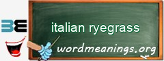 WordMeaning blackboard for italian ryegrass